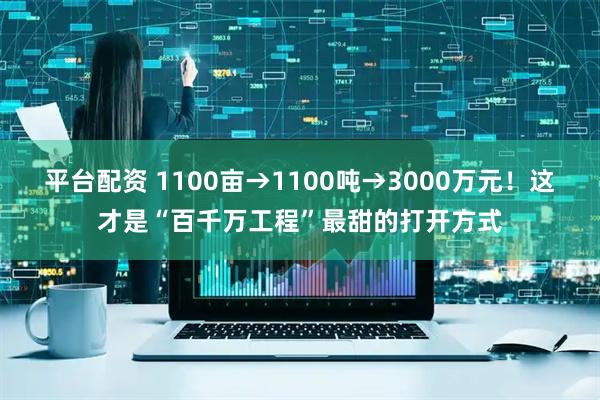 平台配资 1100亩→1100吨→3000万元！这才是“百千万工程”最甜的打开方式
